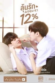 My Only 12%